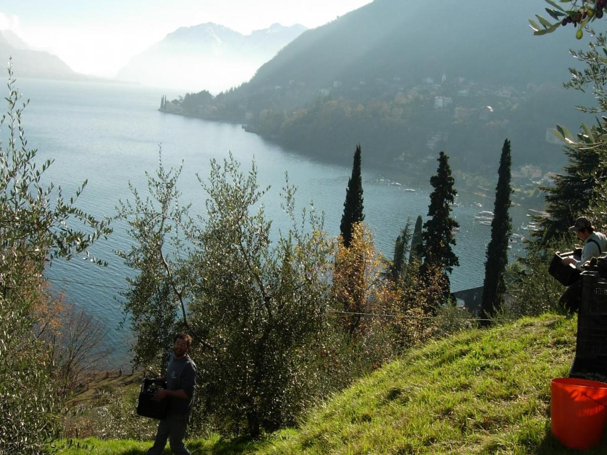 Casa Indipendente "Il Sole Delle Grigne" Villa Bellagio Eksteriør bilde